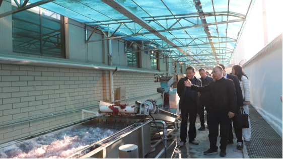 雙清區(qū)委書記曾秦偉帶隊(duì)走訪天香生物參觀調(diào)研，助力鄉(xiāng)村振興