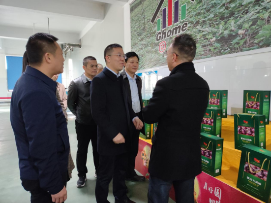 市委常委、組織部部長、統(tǒng)戰(zhàn)部部長龔紅果蒞臨天香生物調(diào)研