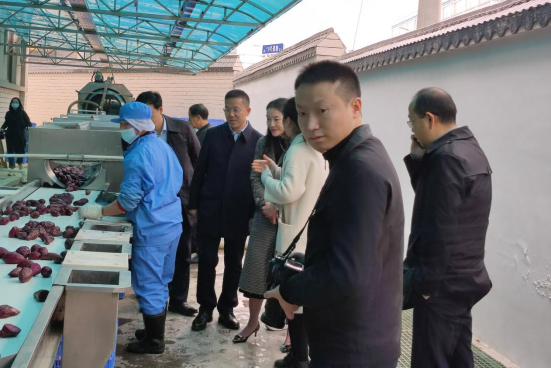 市委常委、組織部部長、統(tǒng)戰(zhàn)部部長龔紅果蒞臨天香生物調(diào)研