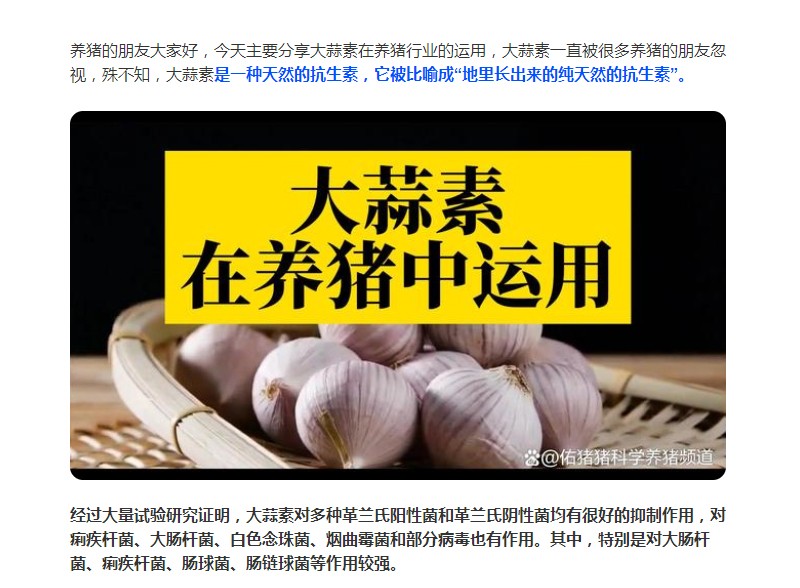 大蒜素在養(yǎng)豬行業(yè)的運(yùn)用，您了解多少？